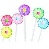 Daisy Twinkle Pops - 120ct